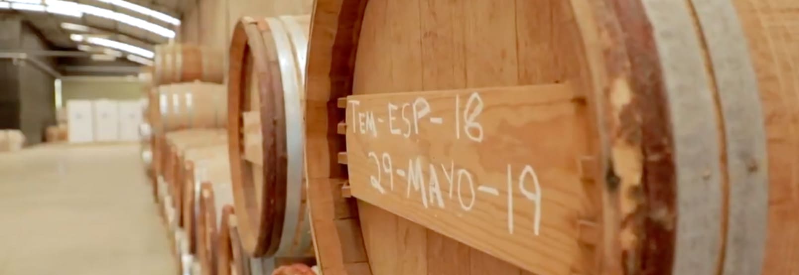 RUTA DEL VINO EN AGUASCALIENTES